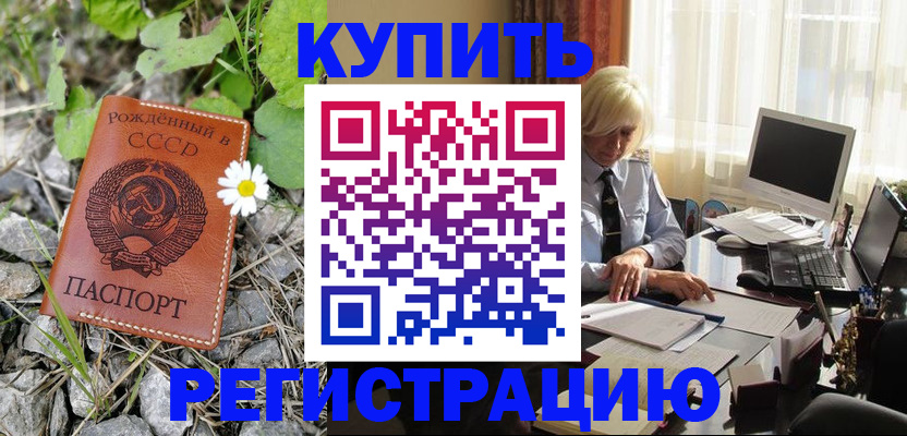временная регистрация поиск в Сертолово